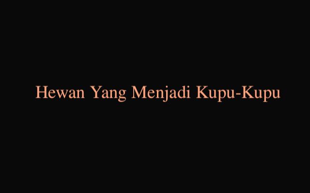 Hewan Yang Menjadi Kupu-Kupu