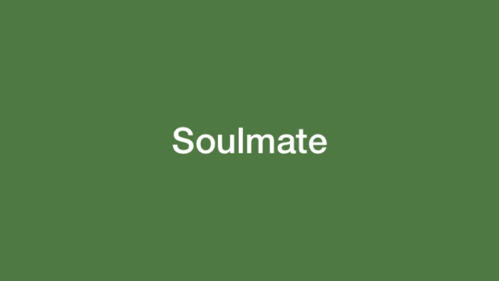 Arti Soulmate