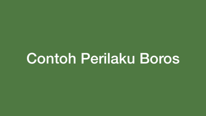 Contoh Perilaku Boros