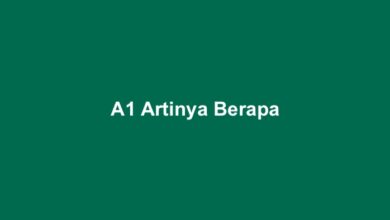 A1 Artinya Berapa