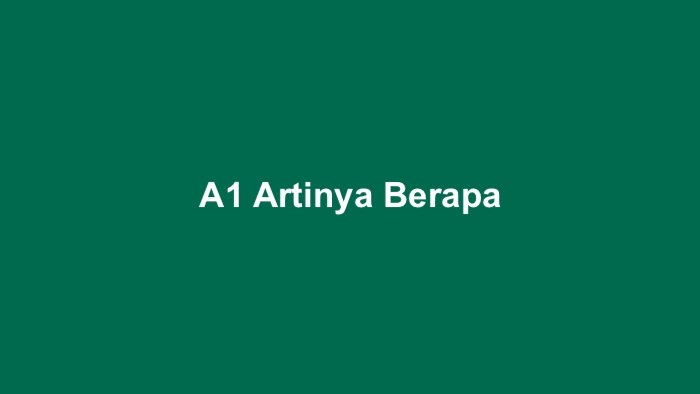 A1 Artinya Berapa