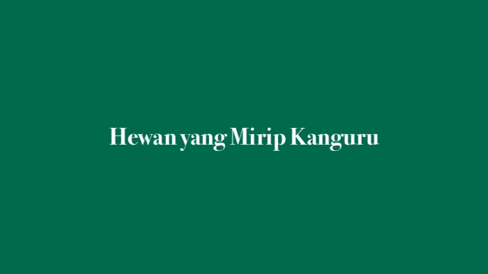 Hewan yang Mirip Kanguru