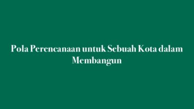 Pola Perencanaan untuk Sebuah Kota dalam Membangun