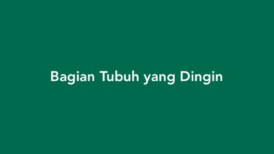 Bagian Tubuh yang Dingin