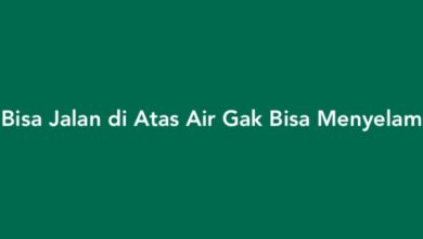 Bisa Jalan di Atas Air Gak Bisa Menyelam