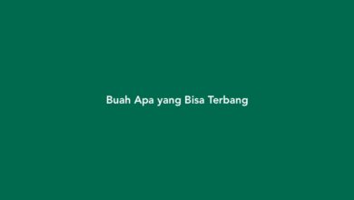 Buah Apa yang Bisa Terbang