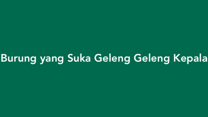 Burung yang Suka Geleng Geleng Kepala