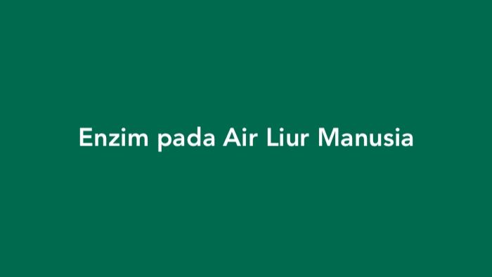 Enzim pada Air Liur Manusia