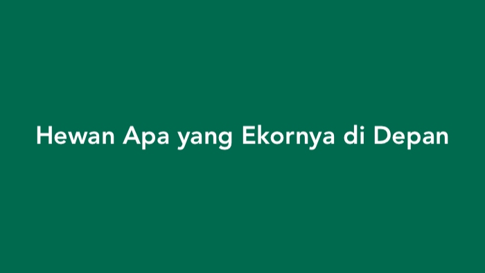 Hewan Apa yang Ekornya di Depan