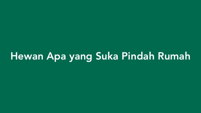 Hewan Apa yang Suka Pindah Rumah