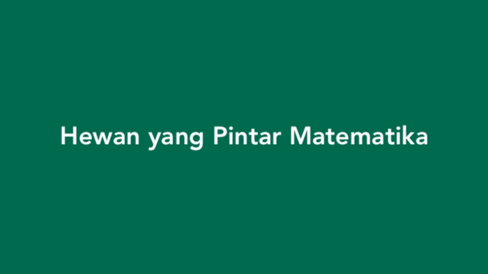 Hewan yang Pintar Matematika