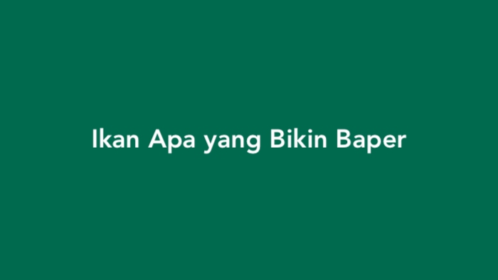 Ikan Apa yang Bikin Baper