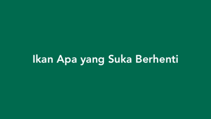 Ikan Apa yang Suka Berhenti