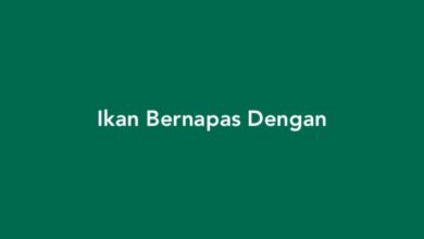 Ikan Bernapas Dengan