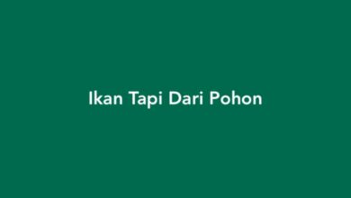 Ikan Tapi Dari Pohon