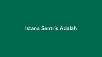 Istana Sentris Adalah