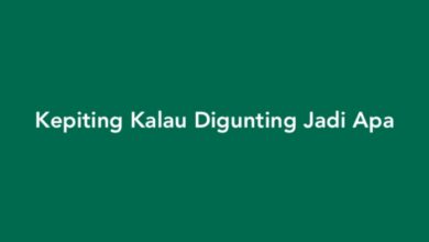 Kepiting Kalau Digunting Jadi Apa