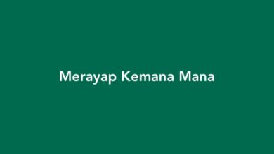 Merayap Kemana Mana