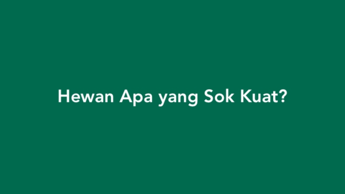 Hewan Apa yang Sok Jago