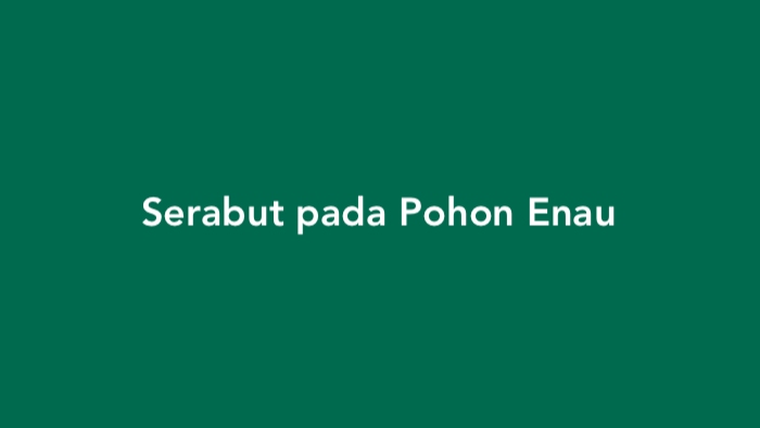 Serabut pada Pohon Enau