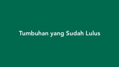 Tumbuhan yang Sudah Lulus