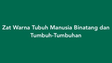 Zat Warna Tubuh Manusia Binatang dan Tumbuh-Tumbuhan