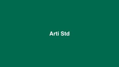 Arti Std