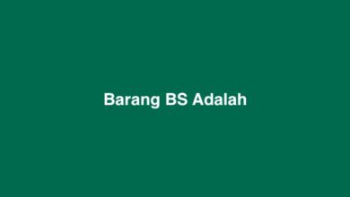 Barang BS Adalah