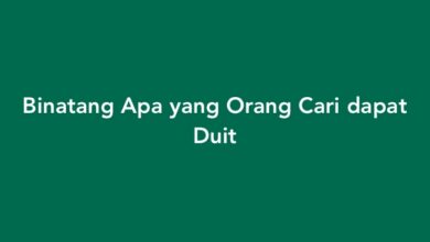 Binatang Apa yang Orang Cari dapat Duit