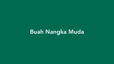 Buah Nangka Muda