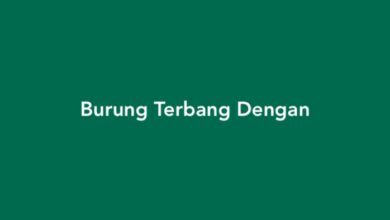 Burung Terbang Dengan