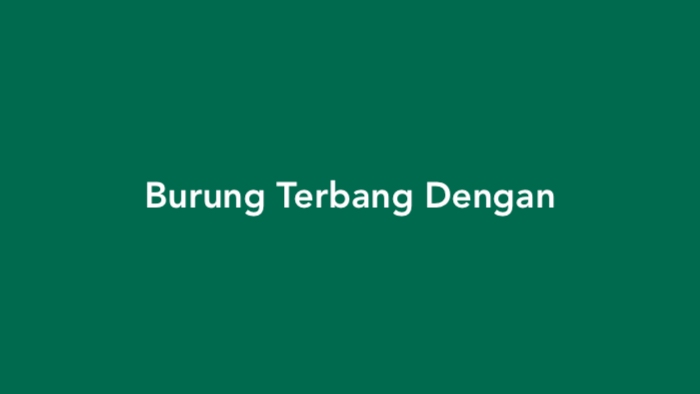 Burung Terbang Menggunakan Tts Lontong - Homecare24