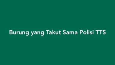 Burung yang Takut Sama Polisi TTS