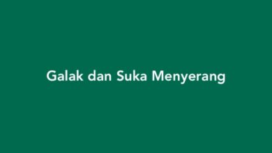 Galak dan Suka Menyerang