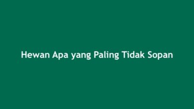 Hewan Apa yang Paling Tidak Sopan