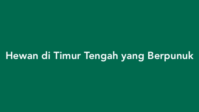 Hewan di Timur Tengah yang Berpunuk