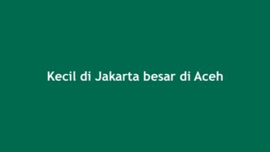 Kecil di Jakarta besar di Aceh