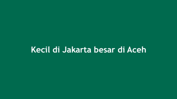 Kecil di Jakarta besar di Aceh