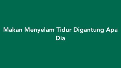 Makan Menyelam Tidur Digantung Apa Dia