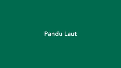 Pandu Laut