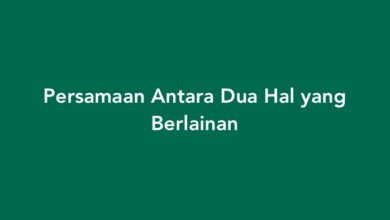 Persamaan Antara Dua Hal yang Berlainan