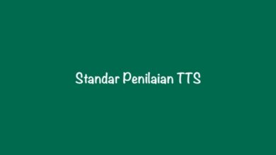 Standar Penilaian TTS