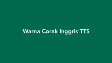 Warna Corak Inggris TTS