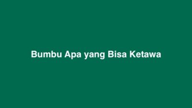 Bumbu Apa yang Bisa Ketawa