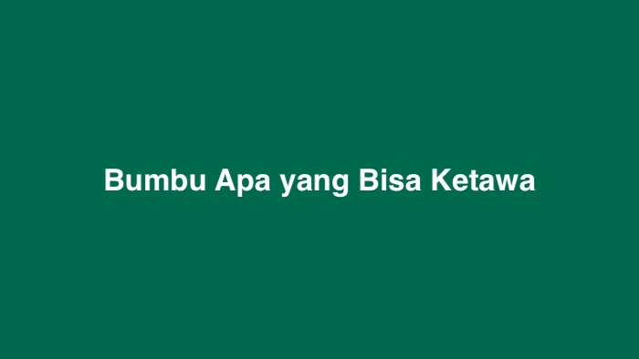 Bumbu Apa yang Bisa Ketawa