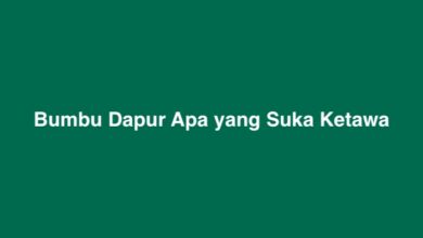 Bumbu Dapur Apa yang Suka Ketawa