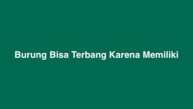 Burung Bisa Terbang Karena Memiliki