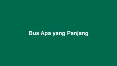 Bus Apa yang Panjang