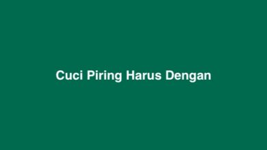 Cuci Piring Harus Dengan