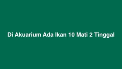 Di Akuarium Ada Ikan 10 Mati 2 Tinggal